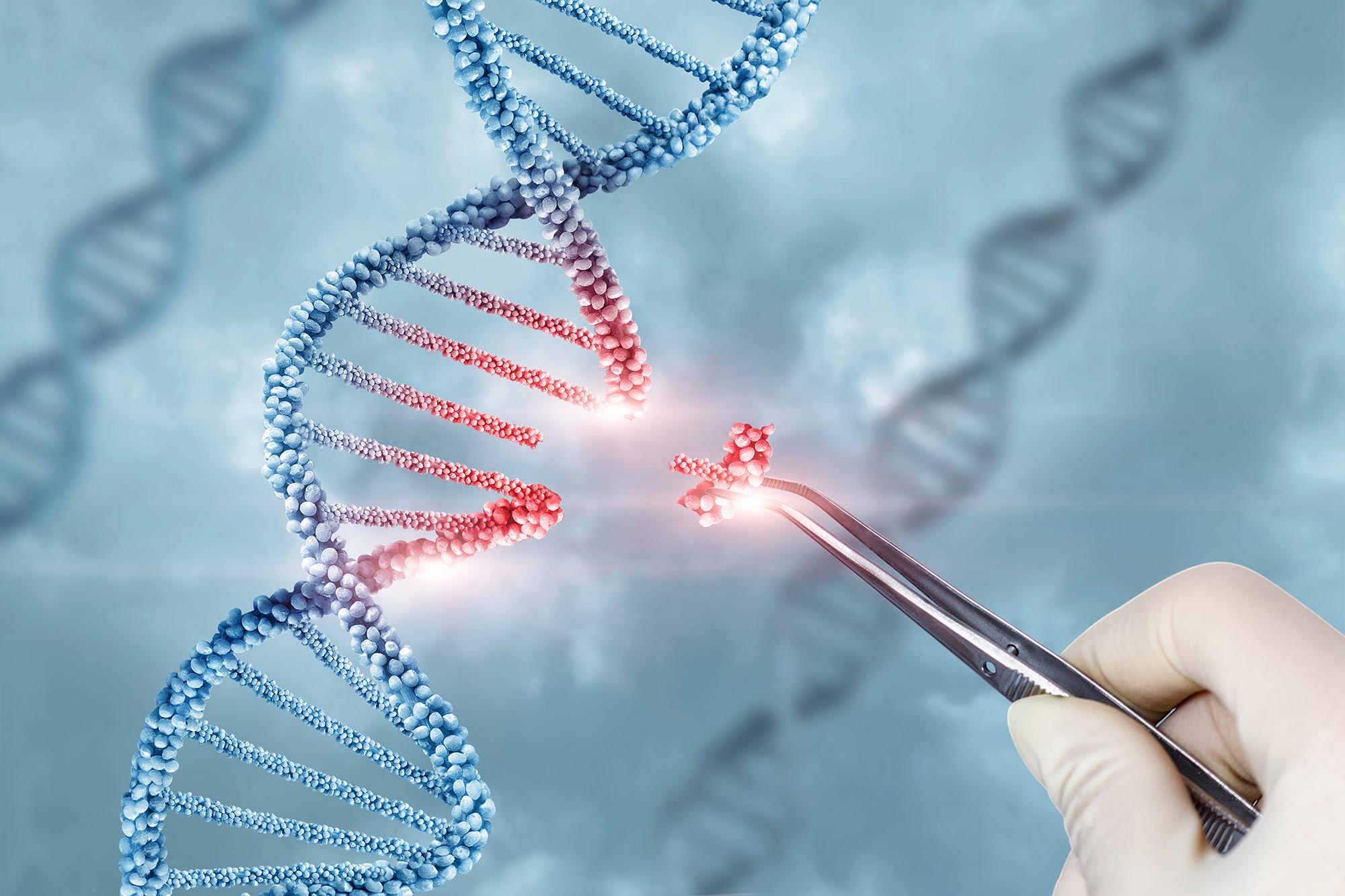 MIT科学家在基因编辑领域又一次实现精准度突破