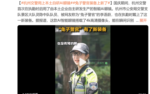 杭州交警用上本土自研AI眼镜：能瞬间识别是否为预约车辆
