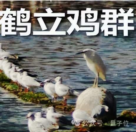 1300000000000000 Google每月Tokens消耗量曝光