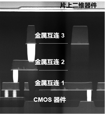 复旦大学研发全球首个二维-硅基混合架构闪存芯片